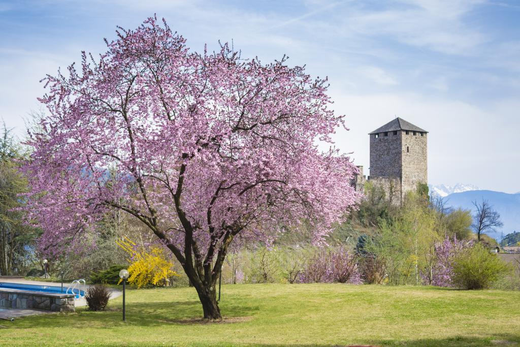 Der Waldhof Otel Vollan Dış mekan fotoğraf